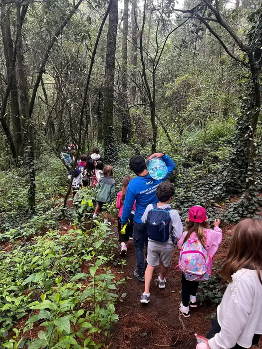 Grupo de niños de Camps caminando en fila por un sendero de bosque, con mochilas y cantimploras