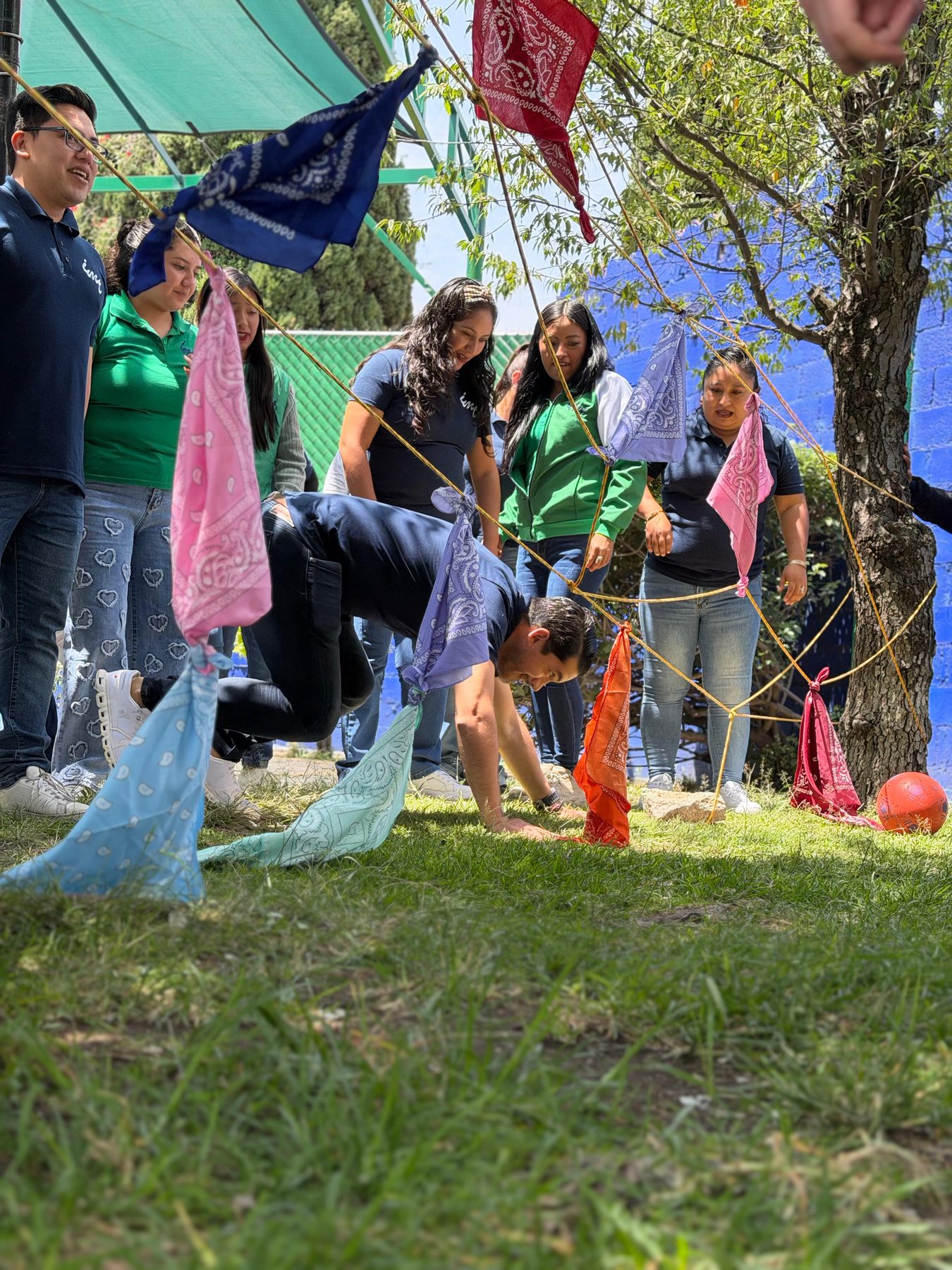 Adultos de una empresa trabajando con una red sobre el pasto, en una dinámica de Team Building de Tribu