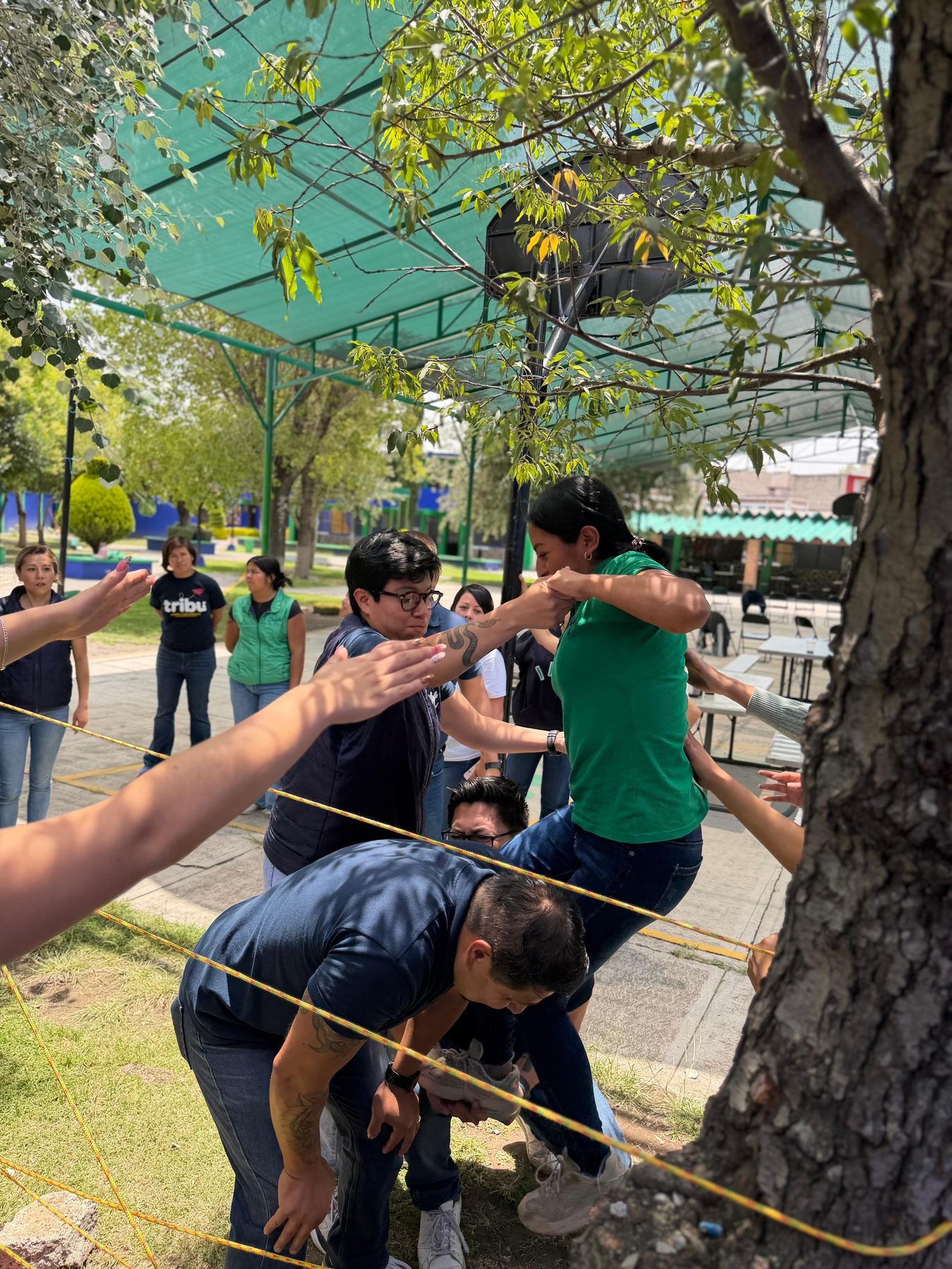 Adultos tensando una cuerda entre árboles, en una dinámica de Team Building de Tribu